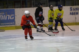 Детский лагерь Хоккейный лагерь "Czech International Hockey Camp"