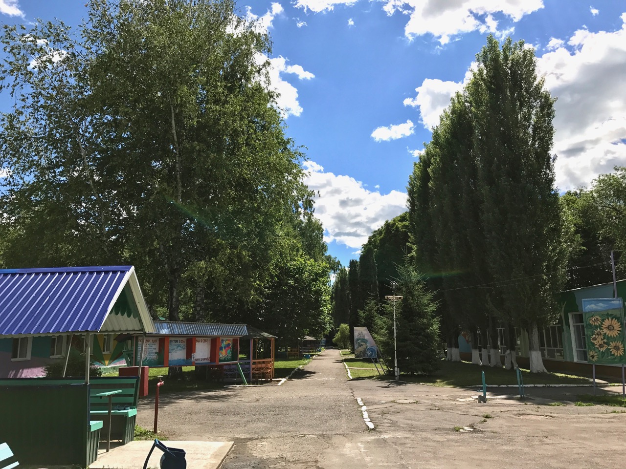 Муниципальное бюджетное учреждение детский оздоровительный лагерь. Детский оздоровительный лагерь Юность. Лагерь Юность Воронежская область. Детский оздоровительный лагерь Юность Воронеж. Лагерь Юность Воронежская область Новоусманский район.